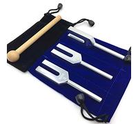 Chiyyak Angel Tuning Fork Set, Sound Healing Musical Instrument Clear Tone with Wood Hammer and Velvet Pouch for Traveling (Silver)