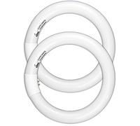 CHKADAWA Circular Bulb FC8T9/DL, 8 Inch T9 22W Circline Fluorescent Light Bulbs, Replacement Round Fluorescent Lamp Tube, Bright Daylight 6400K 1250 Lumens, G10q 4 Pin Base, 2 Pack