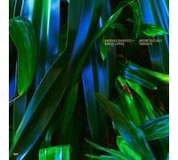 Chkheidze, Anushka - Uncontrollable Thoughts