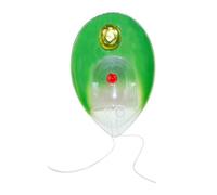 Chlamydomonas Model Single Cell Plant Anatomical Biology Teaching Tool for Demonstration Lab Supplies Chlamydomonas Practical Plant Anatomical for Demonstration