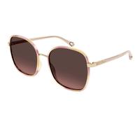 ChloÃ© CH0031S 013 Womenâs Sunglasses Tortoiseshell Size 56