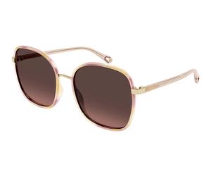 ChloÃ© CH0031S 013 Womenâs Sunglasses Tortoiseshell Size 56