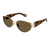 ChloÃ© CH0260S 002 Womenâs Sunglasses Gold Size 59