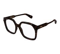 ChloÃ© CH0263O Women's Glasses, Tortoiseshell, Size 53