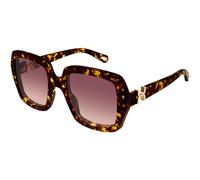 ChloÃ© CH0301S 002 Womenâs Sunglasses Tortoiseshell Size 52