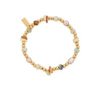 ChloBo Gold Radiant Luck Shell Bracelet - Gold