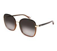 Chloé CH0031S 005 Woman Sunglasses Injected Black Grey Squared Shaded