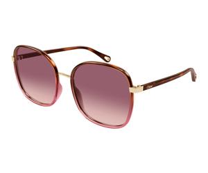 Chloé CH0031S 016 Woman Sunglasses Bio-injected Havana Red Squared