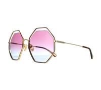 Chloe CH0046S Womens Havana Gold Sunglasses