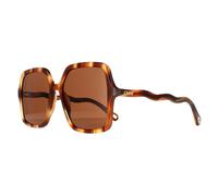 Chloe CH0086S Zelie Womens Havana Sunglasses