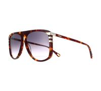 Chloe CH0104S Womens Shiny Medium Havana Sunglasses