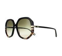 Chloe Sunglasses CH0105S 002 Shiny Black and Tortoise Green Gradient