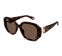 Chloé CH0236S 002 Woman Sunglasses Acetate Havana Brown Squared