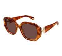 Chloé CH0236S 006 Donna Occhiali da sole Acetato Havana Marrone Squadrata