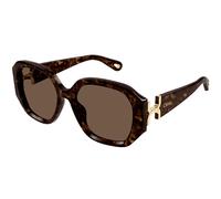 Chloé CH0236S Asian Fit 002 Women’s Sunglasses Tortoiseshell Size 56