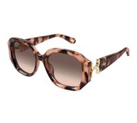 Chloé CH0236S Asian Fit 005 Women’s Sunglasses Tortoiseshell Size 56