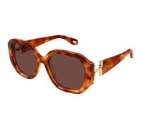 Chloé CH0236S Asian Fit 006 Women’s Sunglasses Tortoiseshell Size 56