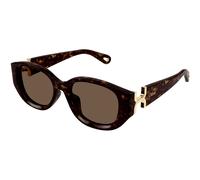 Chloé CH0237SK 002 Woman Sunglasses Acetate Havana Brown Round