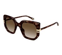 Chloé CH0240S 002 Woman Sunglasses Acetate Havana Brown Butterfly