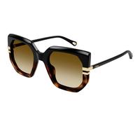 Chloé CH0240S 003 Woman Sunglasses Acetate Black Brown Butterfly