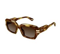 Chloé CH0256S 002 Women’s Sunglasses Tortoiseshell Size 53