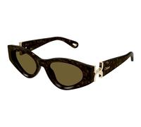 Chloé CH0259S 002 Women’s Sunglasses Tortoiseshell Size 52