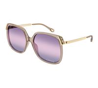 Chloé CH0286S 004 Woman Sunglasses Acetate Brown Violet Squared