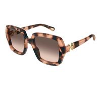 Chloé CH0301S 006 Donna Occhiali da sole Acetato Havana Marrone Squadrata Sfumato
