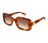 Chloé CH0333S 003 Woman Sunglasses Acetate Havana Brown Squared