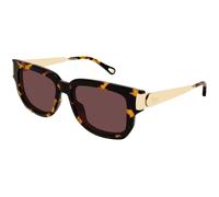 Chloé CH0351S 003 Donna Occhiali da sole Acetato Havana Viola Squadrata