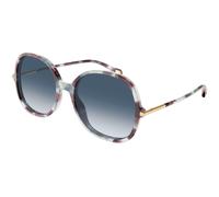 Chloé CH0383S 001 Woman Sunglasses Acetate Havana Blue Round