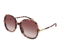 Chloé CH0383S 004 Woman Sunglasses Acetate Havana Red Round