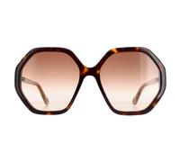Chloe Sunglasses CH0008S Esther 004 Dark Havana and Brown Crystal Brown Gradient