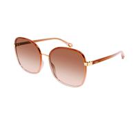 CHLOE Sunglasses CH0031S 007