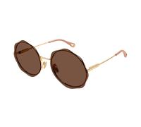 CHLOE SUNGLASSES Sunglasses for women Sunglasses Ch0202S
