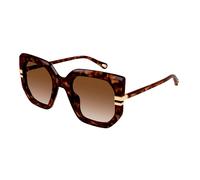 CHLOE SUNGLASSES Sunglasses for women Sunglasses Ch0240S