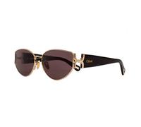 CHLOE SUNGLASSES Sunglasses for women Sunglasses Ch0260S
