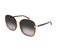 Chloé Woman CH0031S 005 Sunglasses Injected Black Grey Squared Shaded