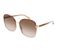 Chloé Woman CH0031S 007 Sunglasses Bio-inject Brown Brown Squared Shaded