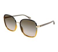 Chloé Woman CH0031S 010 Sunglasses Bio-inject Black Brown Squared Shaded