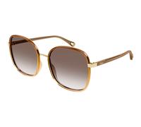 Chloé Woman CH0031S 012 Sunglasses Bio-inject Brown Brown Squared Shaded
