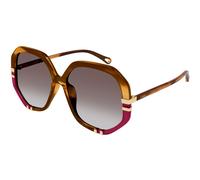 Chloé Woman CH0105S 009 Sunglasses Acetate Havana Brown Geometric Shaded