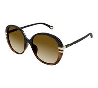Chloé Woman CH0207SK 003 Sunglasses Acetate Black Brown Butterfly Shaded