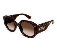 Chloé Woman CH0234S 002 Sunglasses Acetate Havana Brown Round