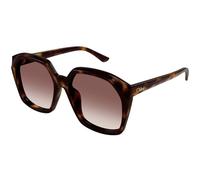 Chloé Woman CH0280S 006 Sunglasses Acetate Havana Red Squared