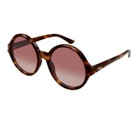 Chloé Woman CH0290S 003 Sunglasses Acetate Havana Red Round