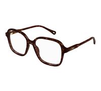 Chloé Woman CH0313O 002 Optical frames Acetate Havana Transparent Squared