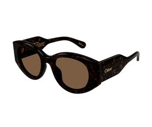 Chloé Woman Chloé CH0251S 002 Sunglasses Acetate Havana Brown Round