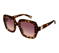 Chloé Woman Chloé CH0301S 002 Sunglasses Acetate Havana Red Squared