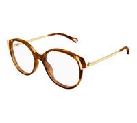 Chloé Woman Chloé CH0328O 007 Optical frames Acetate Havana Transparent Round